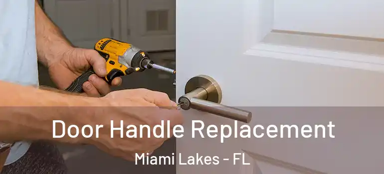  Door Handle Replacement Miami Lakes - FL