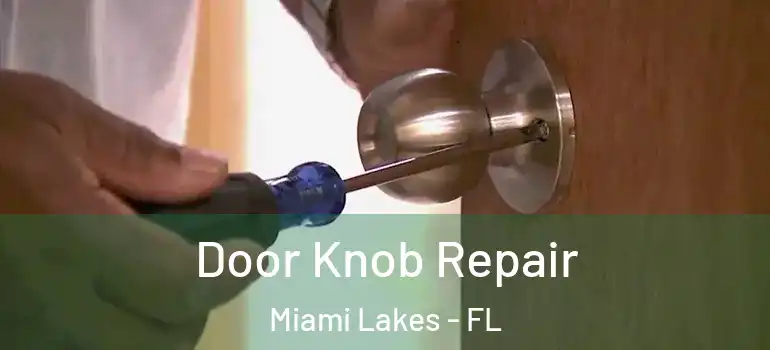  Door Knob Repair Miami Lakes - FL