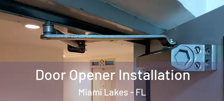  Door Opener Installation Miami Lakes - FL