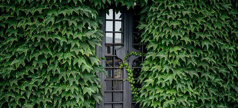 Garden Gate Repair in Miami Lakes, FL