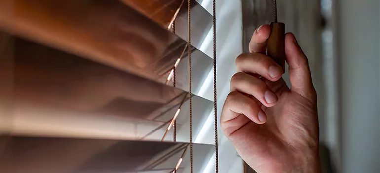 Double Roller Blinds in Miami Lakes, FL