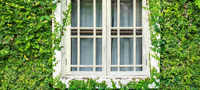 Garden Window Repair Near Me in Miami Lakes, FL
