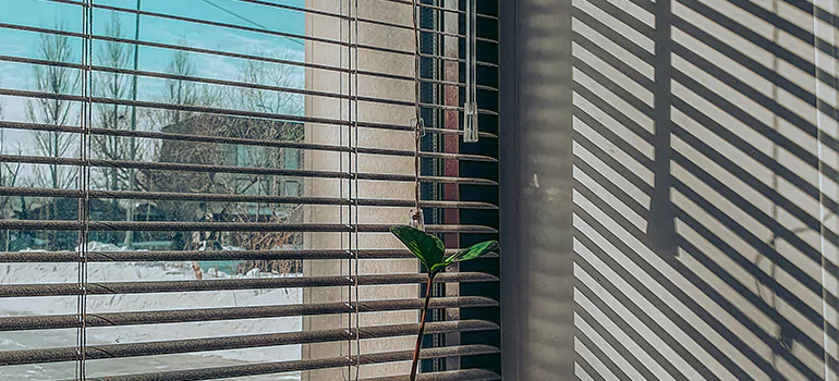 Commercial Window Blinds in Miami Lakes, FL