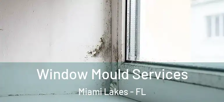  Window Mould Services Miami Lakes - FL